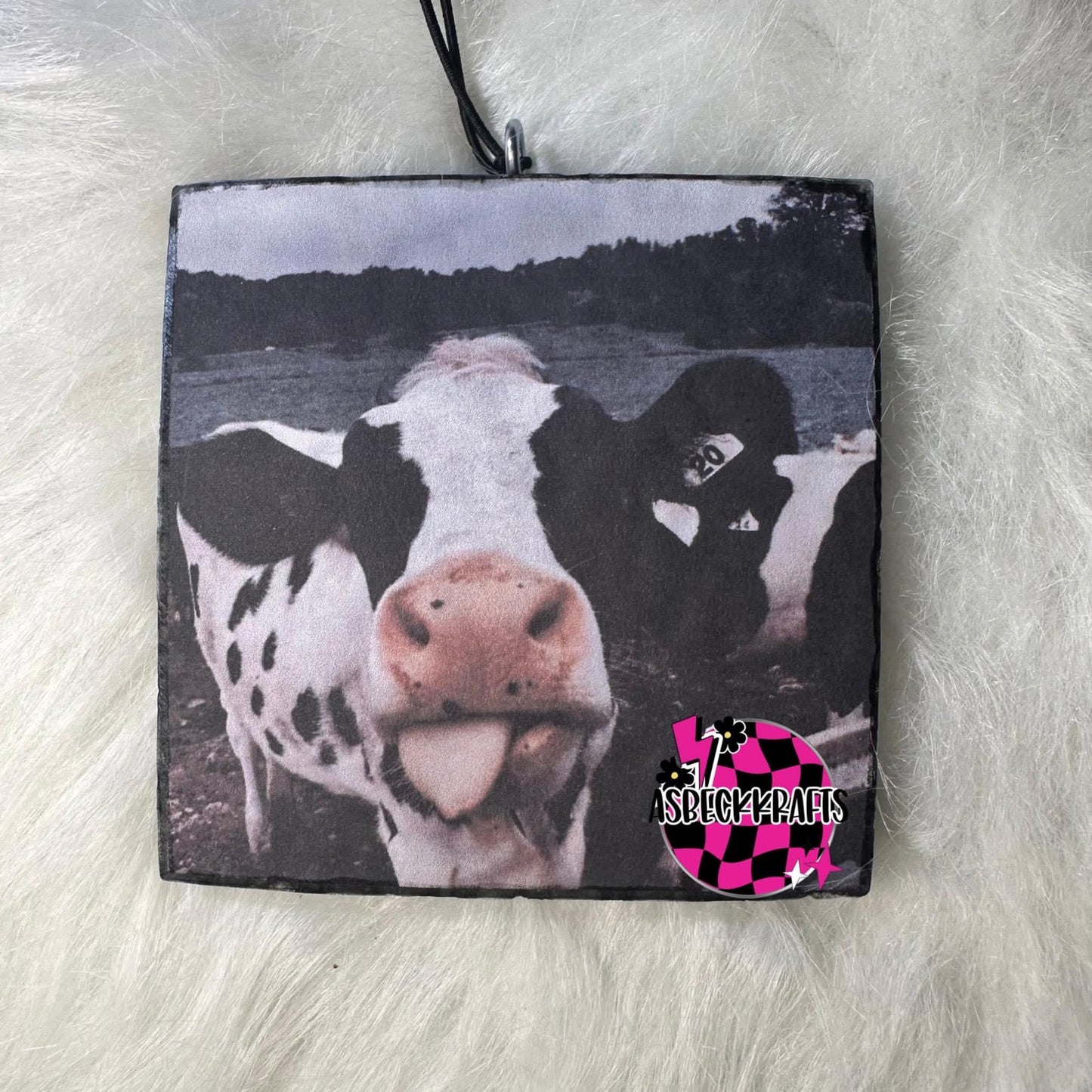 Black and white cow square