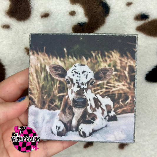 Brown cow square(Paradise island)RTS